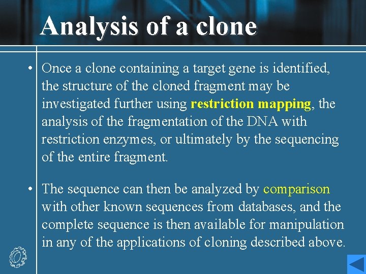 Analysis of a clone • Once a clone containing a target gene is identified,