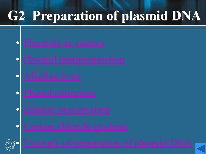 G 2 Preparation of plasmid DNA • Plasmids as vectors • Plasmid minipreparation •