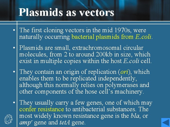 Plasmids as vectors • The first cloning vectors in the mid 1970 s, were