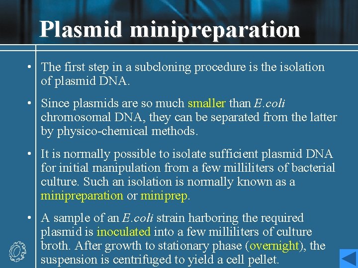 Plasmid minipreparation • The first step in a subcloning procedure is the isolation of