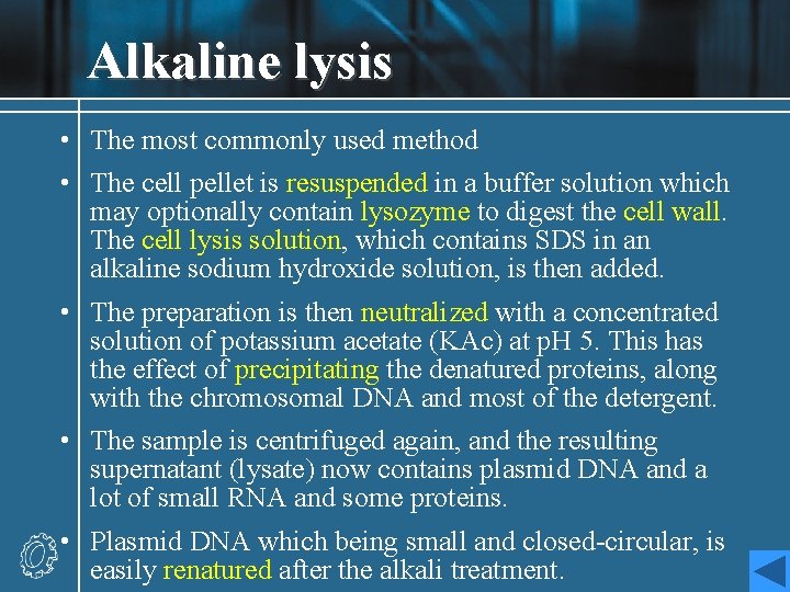 Alkaline lysis • The most commonly used method • The cell pellet is resuspended