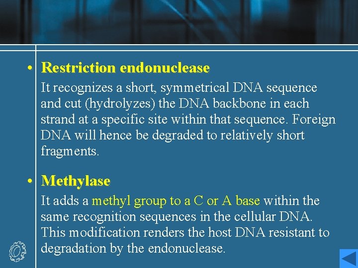  • Restriction endonuclease It recognizes a short, symmetrical DNA sequence and cut (hydrolyzes)