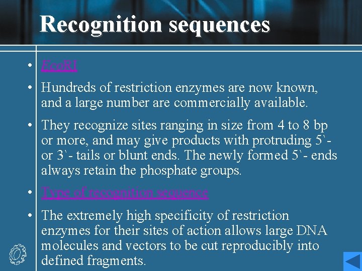 Recognition sequences • Eco. RI • Hundreds of restriction enzymes are now known, and