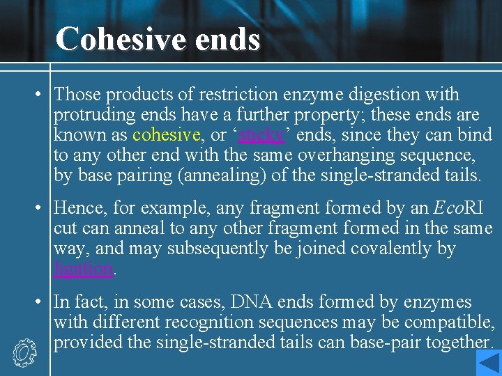 Cohesive ends • Those products of restriction enzyme digestion with protruding ends have a