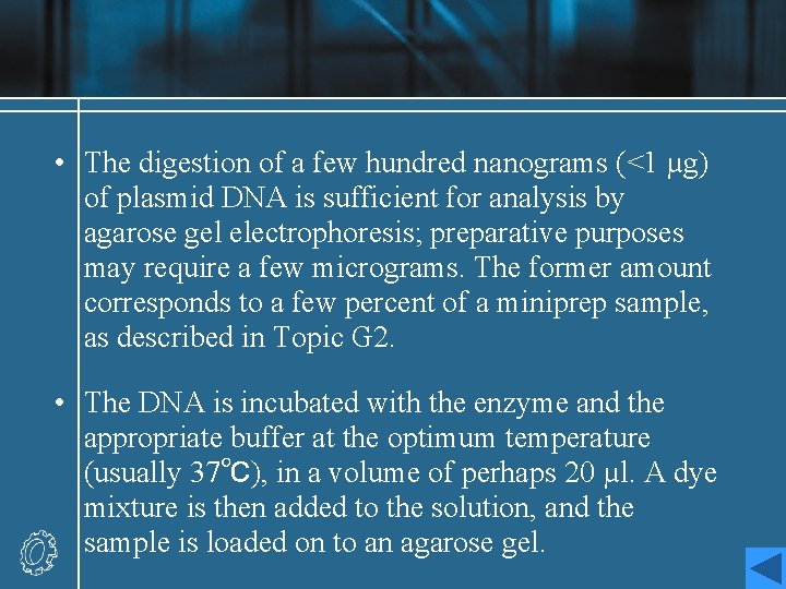  • The digestion of a few hundred nanograms (<1 µg) of plasmid DNA