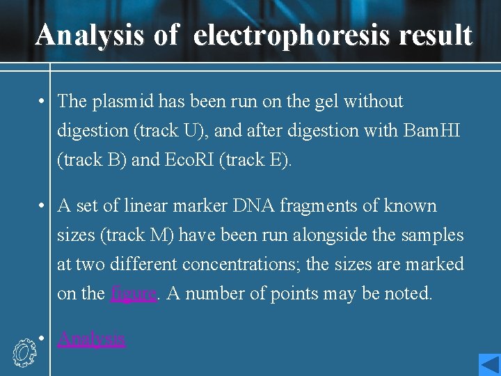 Analysis of electrophoresis result • The plasmid has been run on the gel without