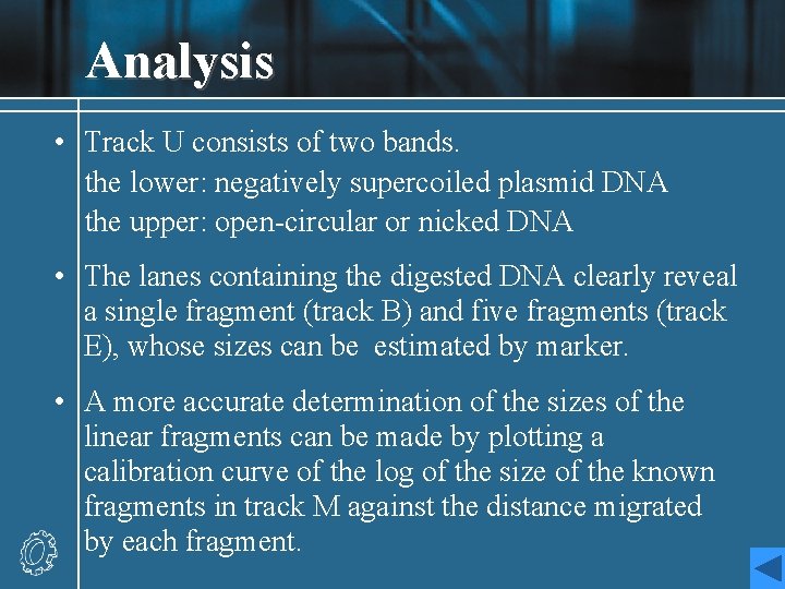Analysis • Track U consists of two bands. the lower: negatively supercoiled plasmid DNA