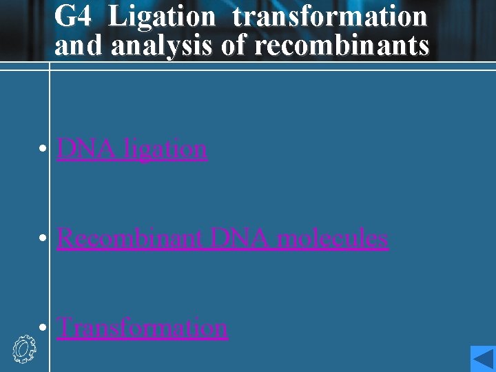 G 4 Ligation transformation and analysis of recombinants • DNA ligation • Recombinant DNA