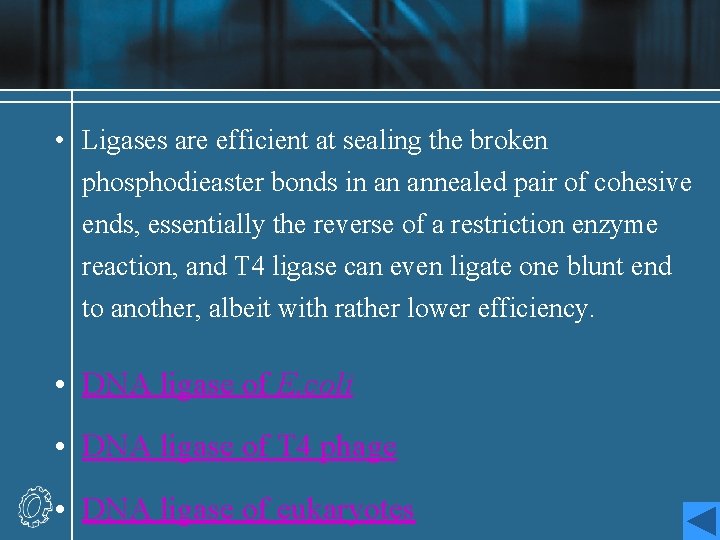  • Ligases are efficient at sealing the broken phosphodieaster bonds in an annealed