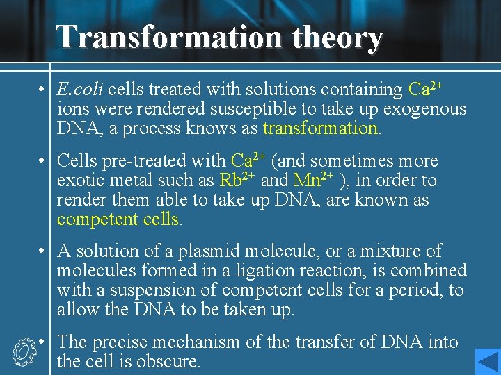 Transformation theory • E. coli cells treated with solutions containing Ca 2+ ions were