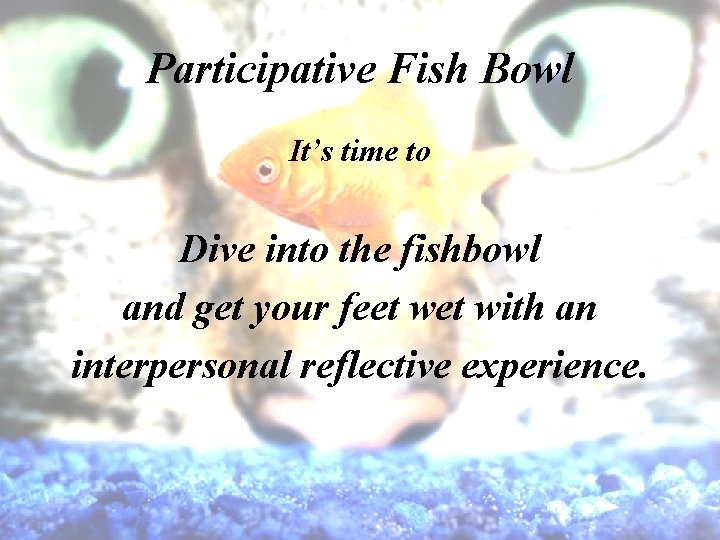 Participative Fish Bowl It’s time to Dive into the fishbowl and get your feet