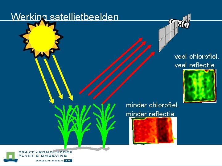 Werking satellietbeelden veel chlorofiel, veel reflectie minder chlorofiel, minder reflectie 