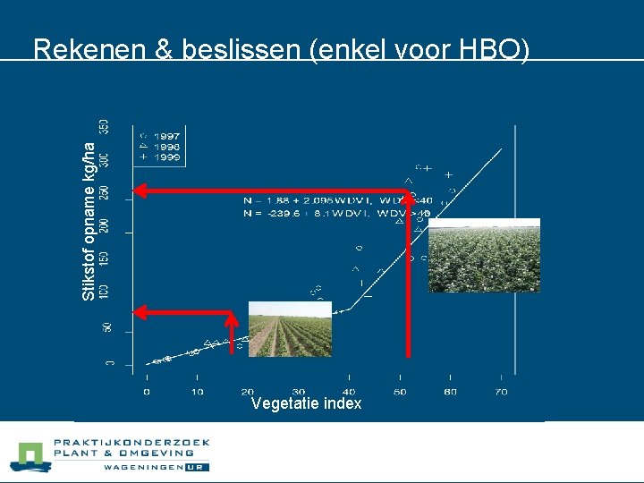 Stikstof opname kg/ha Rekenen & beslissen (enkel voor HBO) Vegetatie index 