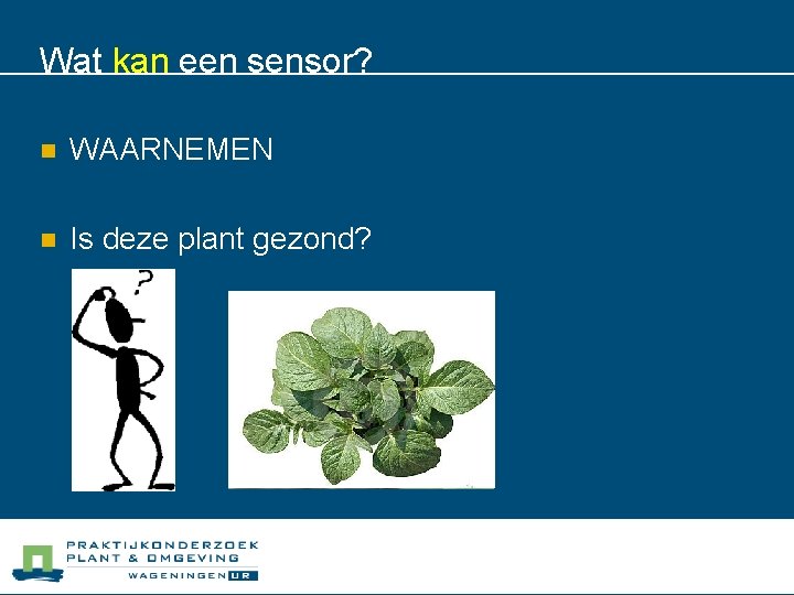 Wat kan een sensor? n WAARNEMEN n Is deze plant gezond? 