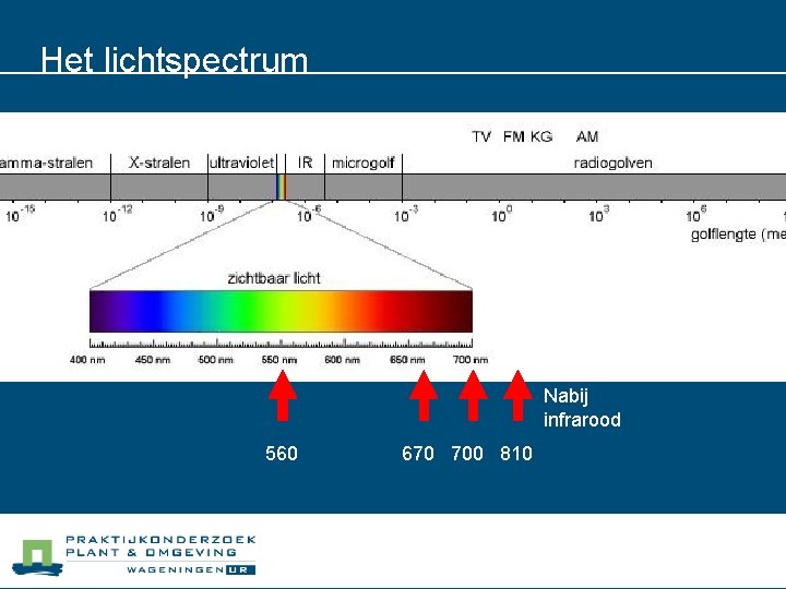 Het lichtspectrum Nabij infrarood 560 670 700 810 
