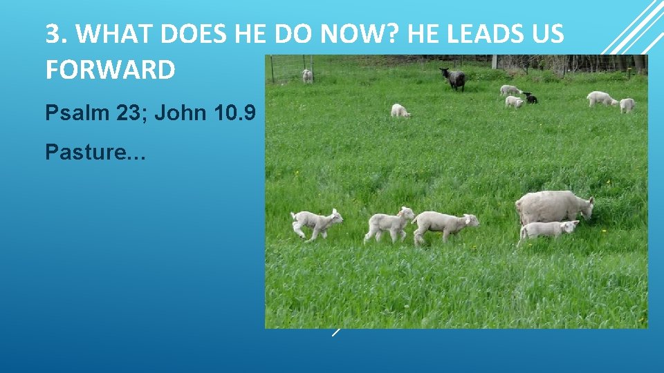 3. WHAT DOES HE DO NOW? HE LEADS US FORWARD Psalm 23; John 10.