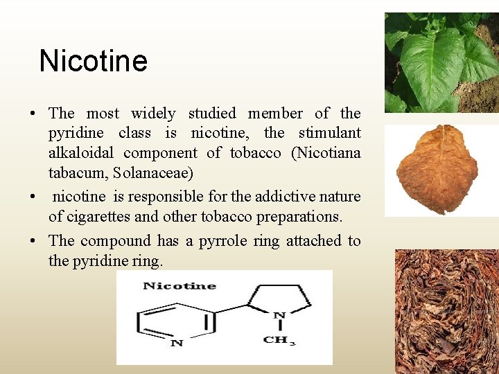 Nicotine • The most widely studied member of the pyridine class is nicotine, the