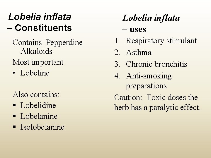 Lobelia inflata – Constituents Contains Pepperdine Alkaloids Most important • Lobeline Also contains: §