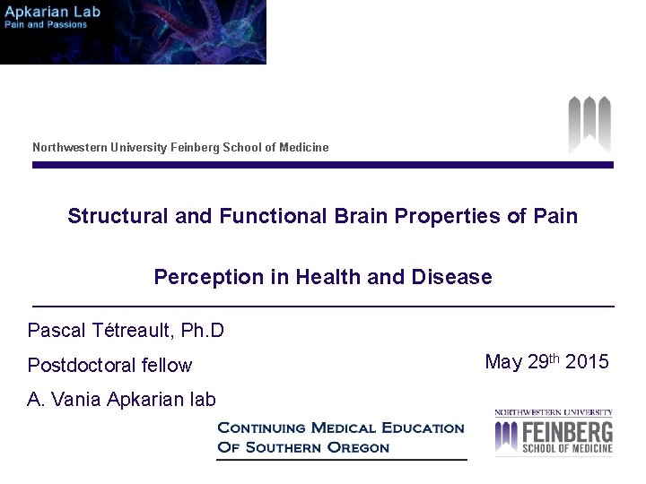 Northwestern University Feinberg School of Medicine Structural and Functional Brain Properties of Pain Perception