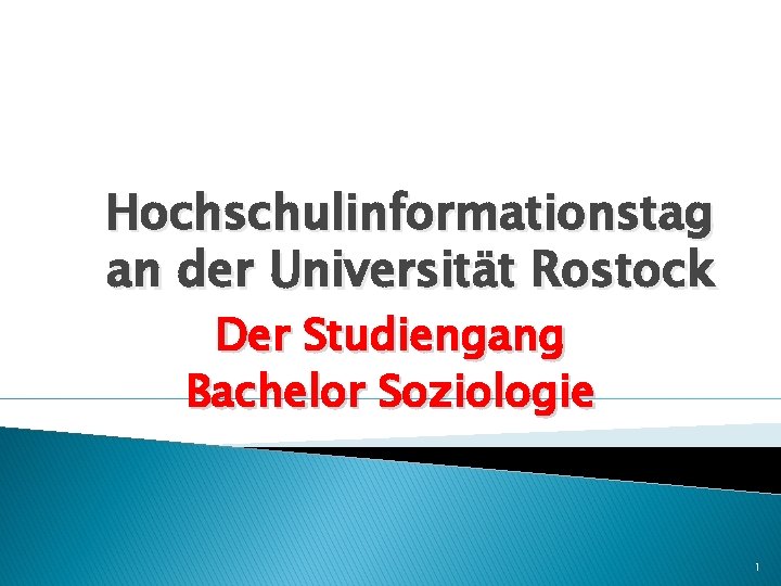 Hochschulinformationstag an der Universität Rostock Der Studiengang Bachelor Soziologie 1 