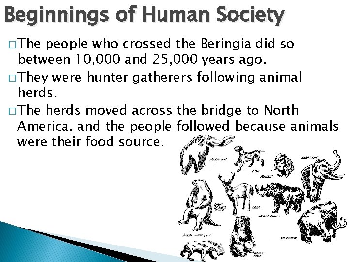 Beginnings of Human Society � The people who crossed the Beringia did so between