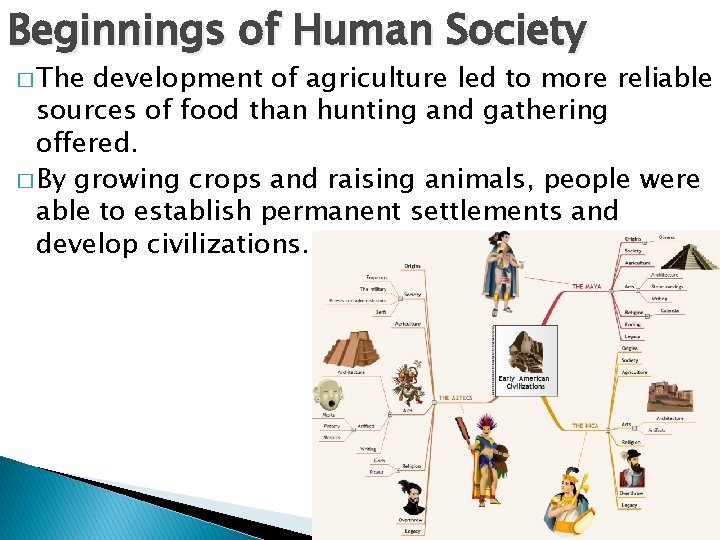 Beginnings of Human Society � The development of agriculture led to more reliable sources
