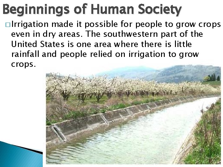 Beginnings of Human Society � Irrigation made it possible for people to grow crops