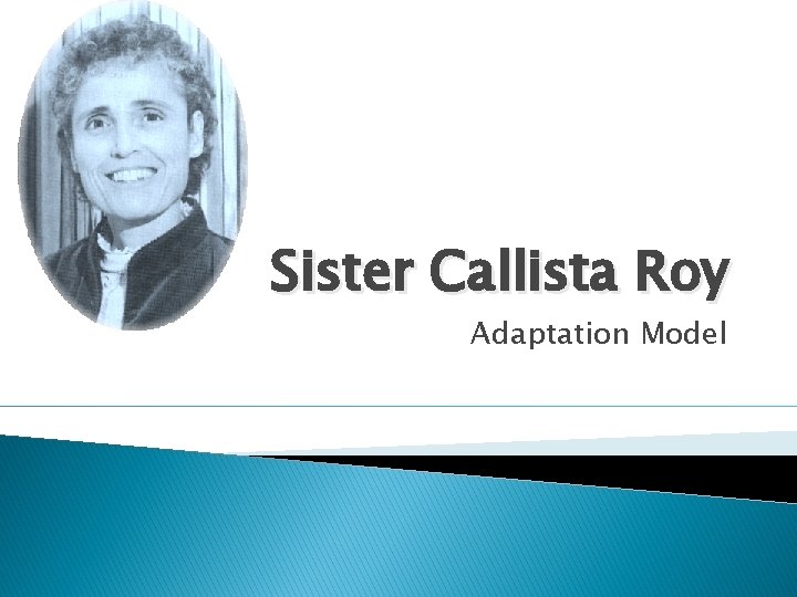 Sister Callista Roy Adaptation Model 
