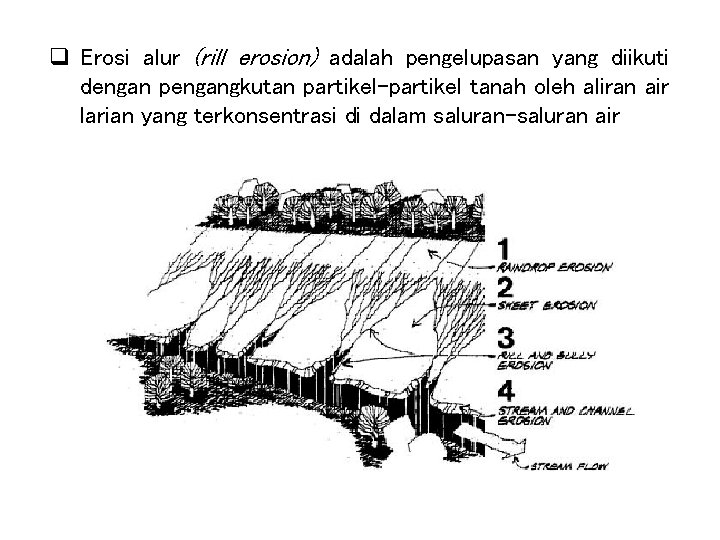 q Erosi alur (rill erosion) adalah pengelupasan yang diikuti dengan pengangkutan partikel-partikel tanah oleh