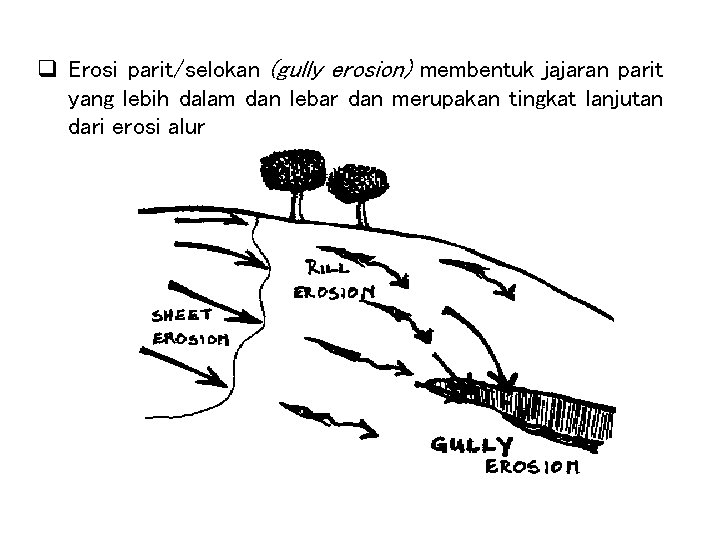 q Erosi parit/selokan (gully erosion) membentuk jajaran parit yang lebih dalam dan lebar dan