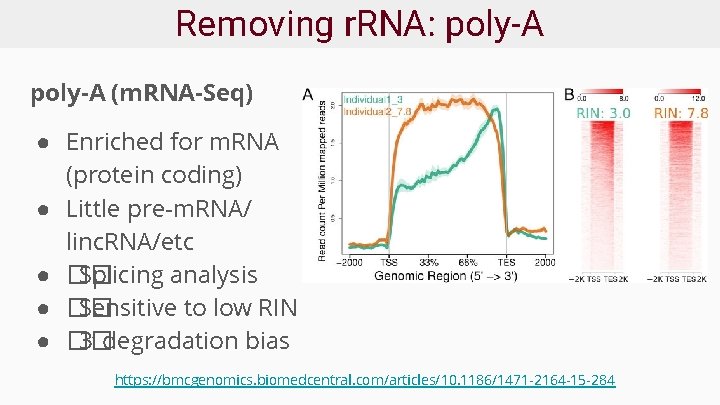 Removing r. RNA: poly-A (m. RNA-Seq) ● Enriched for m. RNA (protein coding) ●