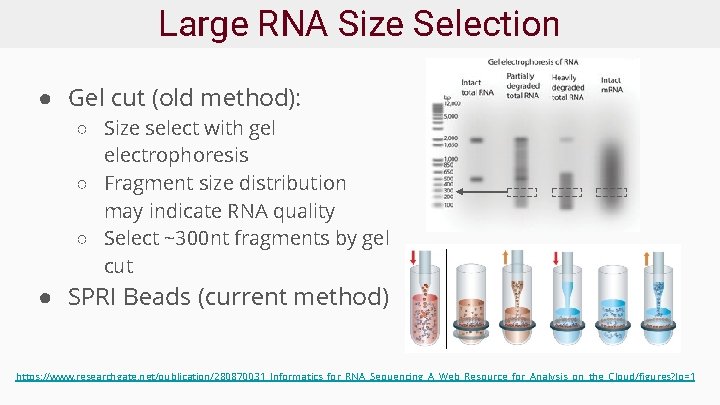 Large RNA Size Selection ● Gel cut (old method): ○ Size select with gel