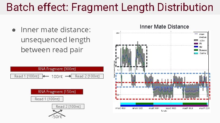 Batch effect: Fragment Length Distribution ● Inner mate distance: unsequenced length between read pair