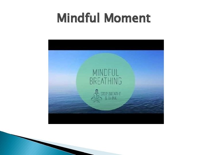 Mindful Moment 