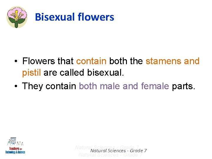 Bisexual flowers • Flowers that contain both the stamens and pistil are called bisexual.