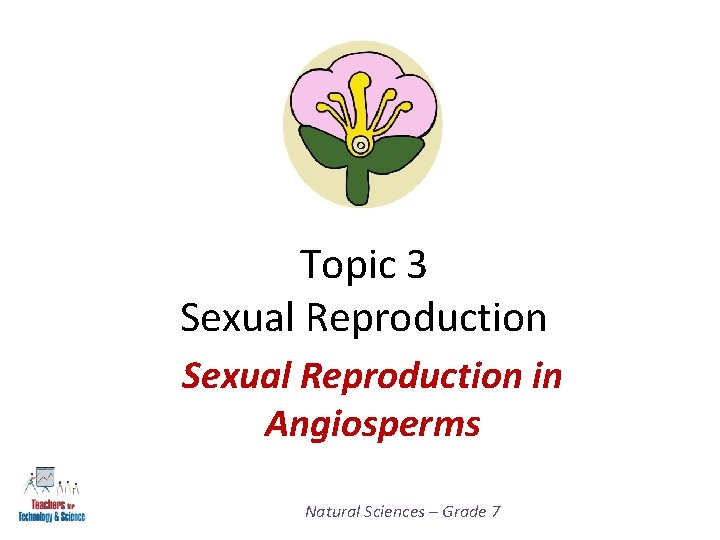 Topic 3 Sexual Reproduction in Angiosperms Natural Sciences – Grade 7 