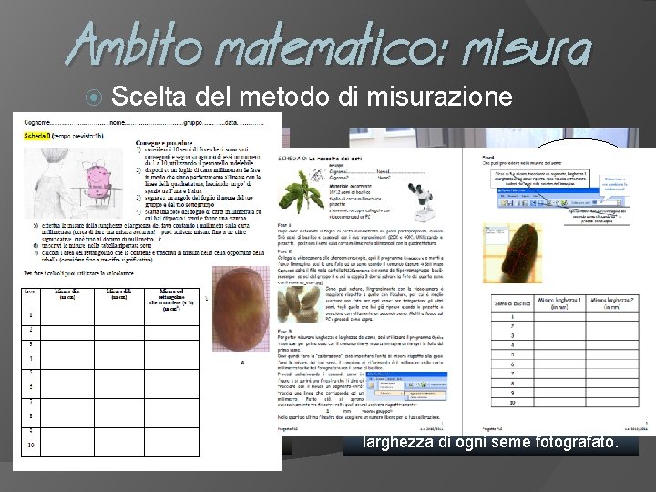Ambito matematico: misura Scelta del metodo di misurazione webcam stereomicroscopio I ragazzi di Cogoleto