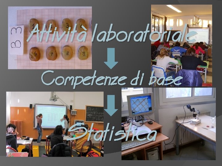 Attività laboratoriale Competenze di base Statistica 
