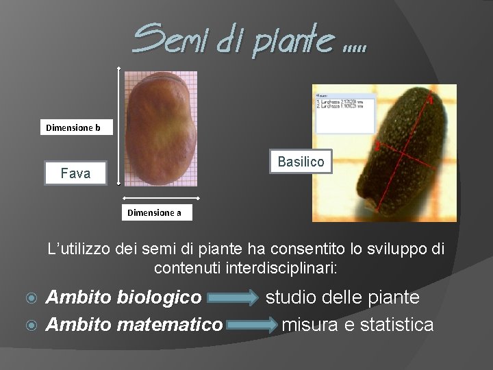 Semi di piante. . . Dimensione b Basilico Fava Dimensione a L’utilizzo dei semi