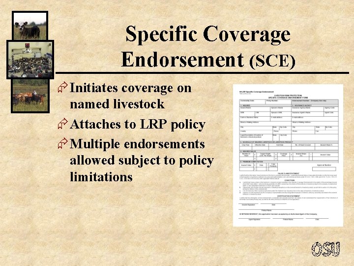 Specific Coverage Endorsement (SCE) Æ Initiates coverage on named livestock Æ Attaches to LRP