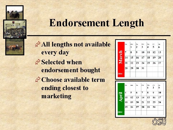 Endorsement Length Æ All lengths not available every day Æ Selected when endorsement bought
