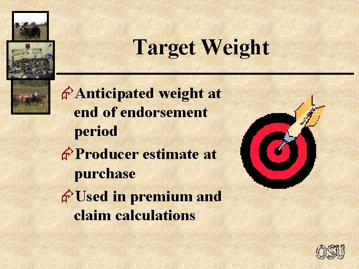 Target Weight ÆAnticipated weight at end of endorsement period ÆProducer estimate at purchase ÆUsed