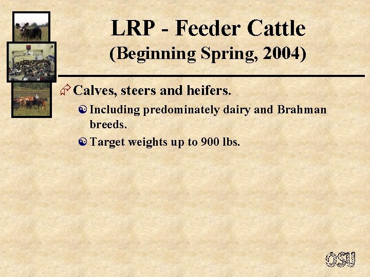 LRP - Feeder Cattle (Beginning Spring, 2004) Æ Calves, steers and heifers. [ Including