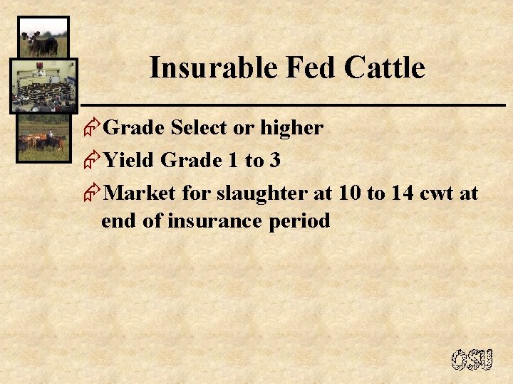 Insurable Fed Cattle ÆGrade Select or higher ÆYield Grade 1 to 3 ÆMarket for