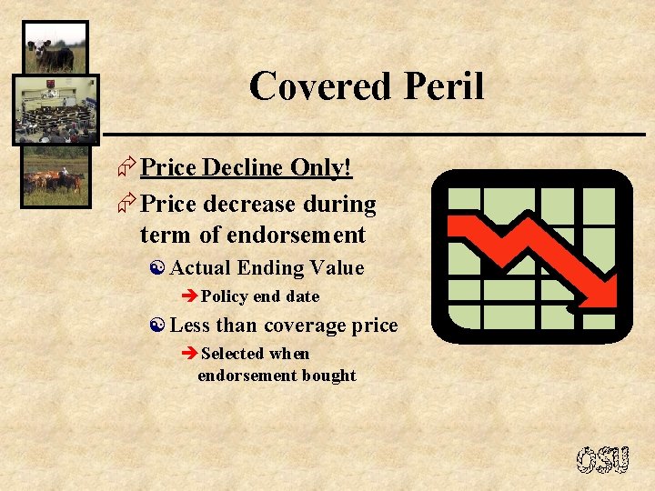 Covered Peril Æ Price Decline Only! Æ Price decrease during term of endorsement [