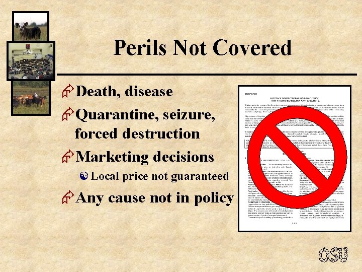 Perils Not Covered ÆDeath, disease ÆQuarantine, seizure, forced destruction ÆMarketing decisions [ Local price