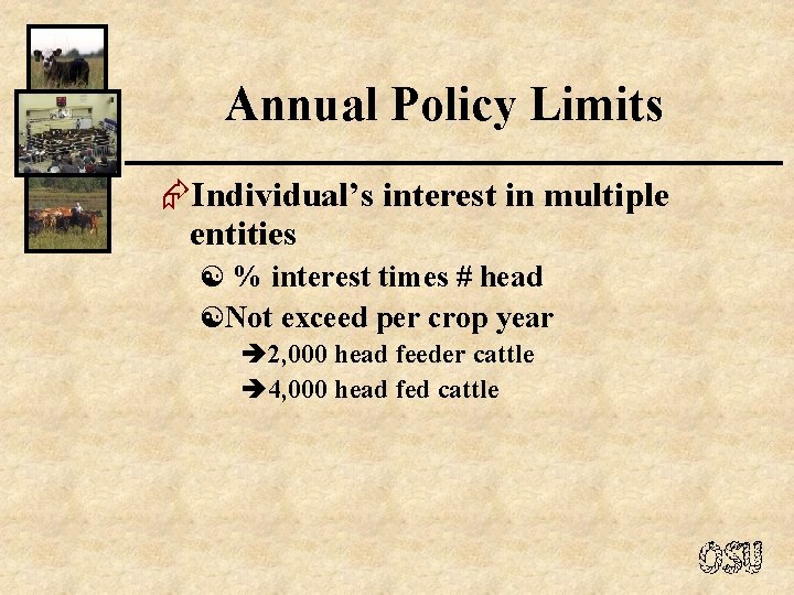 Annual Policy Limits ÆIndividual’s interest in multiple entities [ % interest times # head