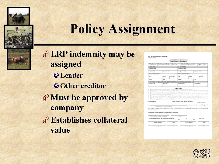 Policy Assignment Æ LRP indemnity may be assigned [ Lender [ Other creditor Æ