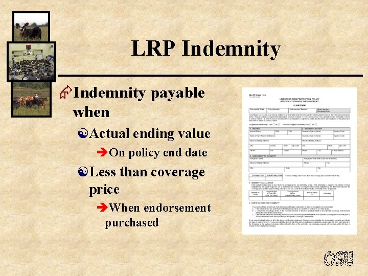 LRP Indemnity ÆIndemnity payable when [Actual ending value èOn policy end date [Less than