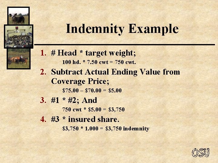 Indemnity Example 1. # Head * target weight; 100 hd. * 7. 50 cwt